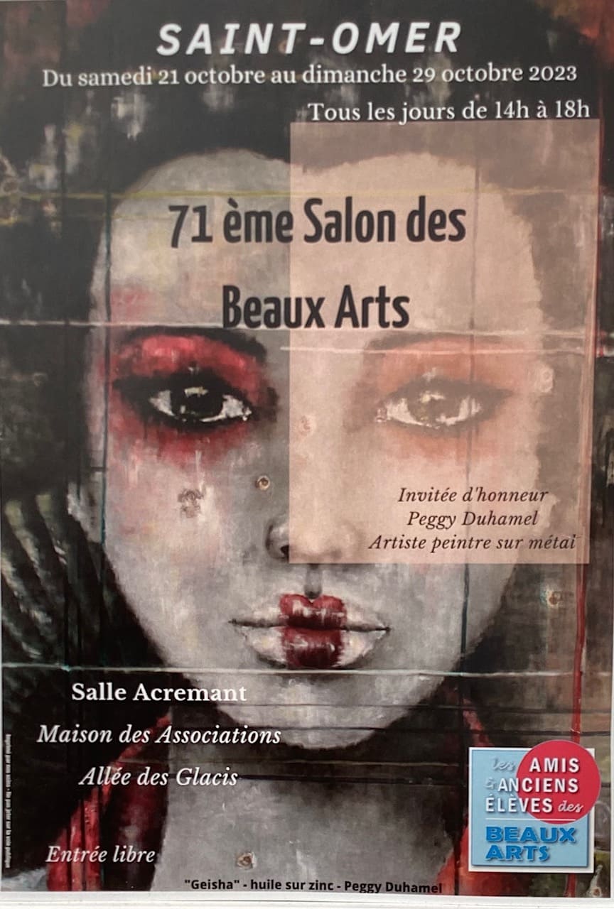 Exposition Anne-Marie Lacroix Beaux arts St Omer